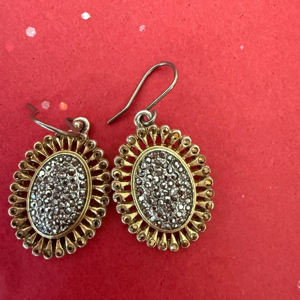 Fossil Elegant Gold and Silver Earrings